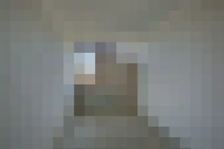 Schierstins 70 Almelo thumbnail 17