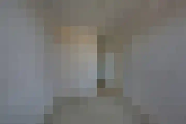 Schierstins 70 Almelo thumbnail 18