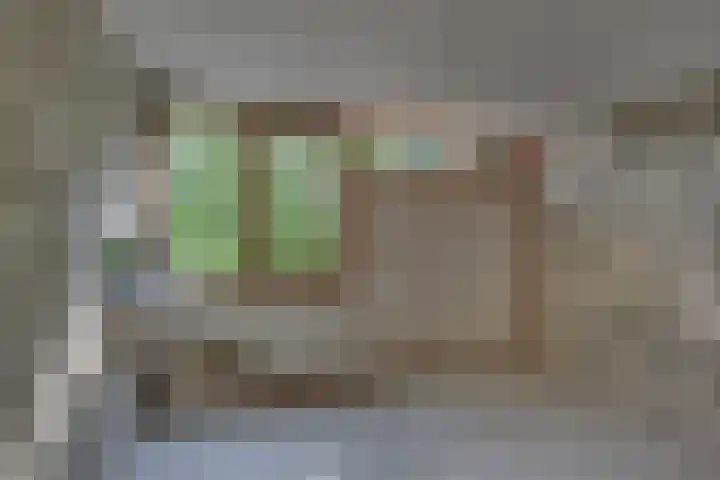 Schierstins 70 Almelo thumbnail 21
