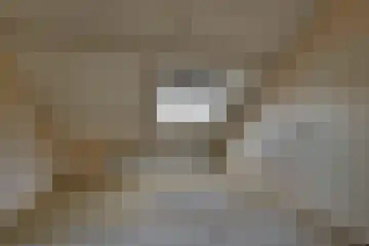 Schierstins 70 Almelo thumbnail 27