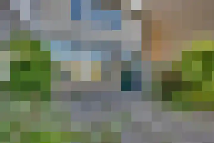 Schierstins 70 Almelo thumbnail 31