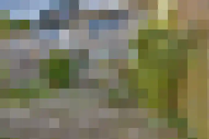 Schierstins 70 Almelo thumbnail 32