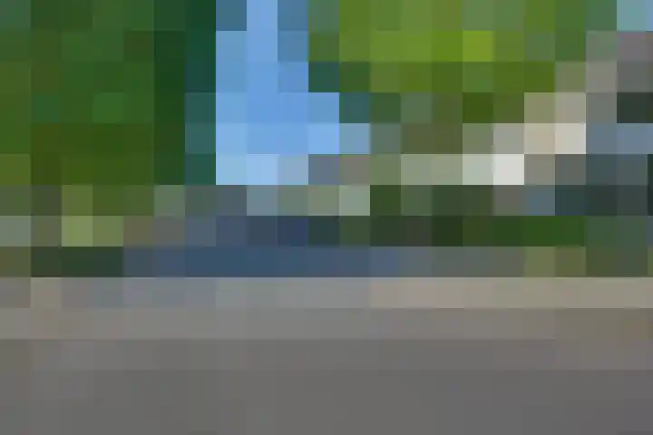 Schierstins 70 Almelo thumbnail 33