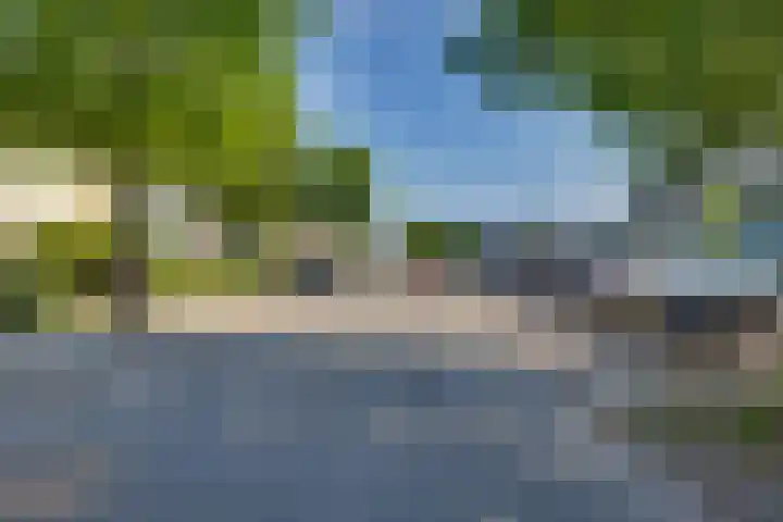 Schierstins 70 Almelo thumbnail 34