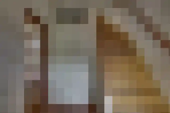 Schierstins 70 Almelo thumbnail 8