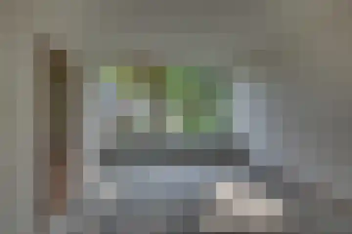 Schierstins 70 Almelo thumbnail 9