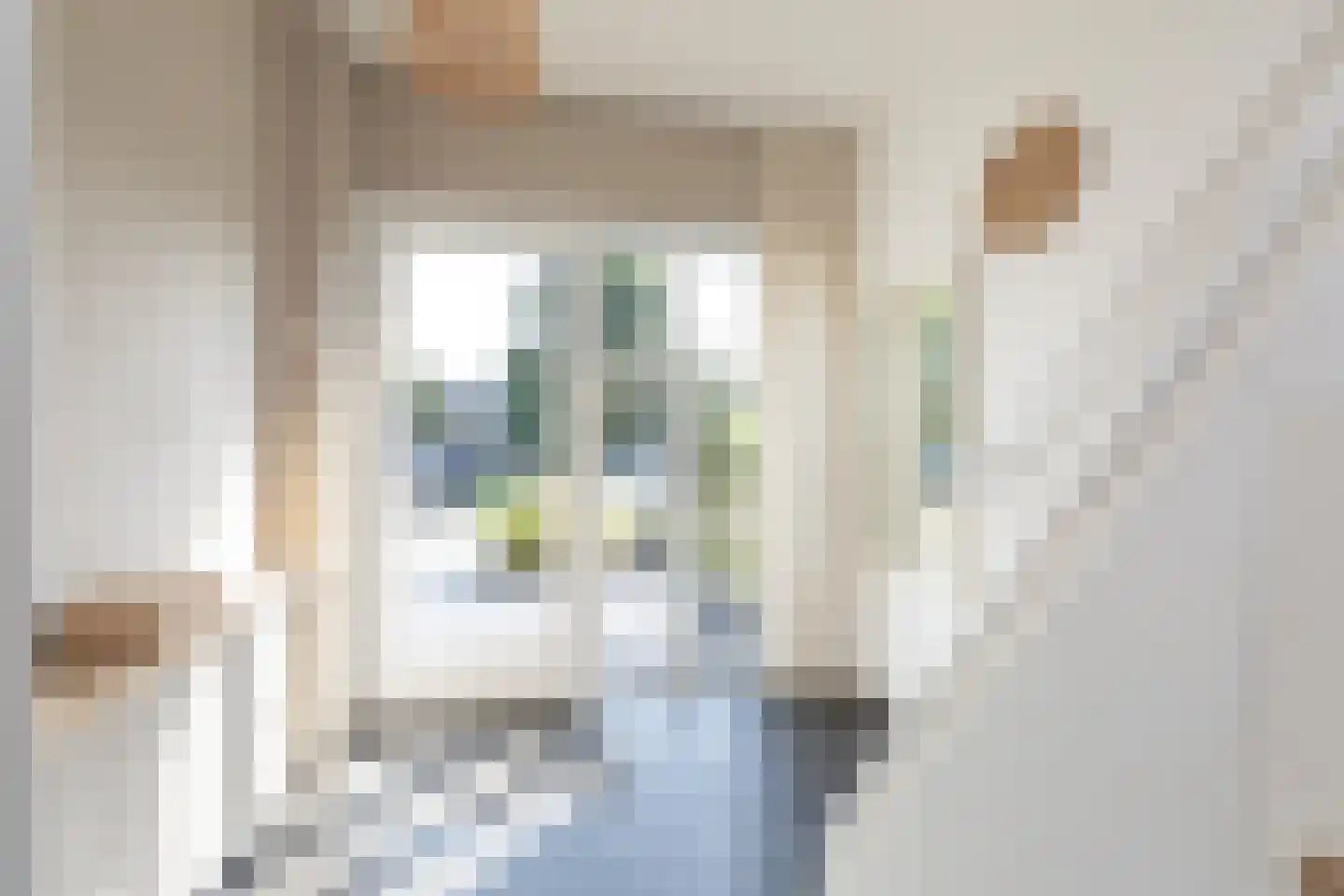 Schierstins 80 Sneek thumbnail 15