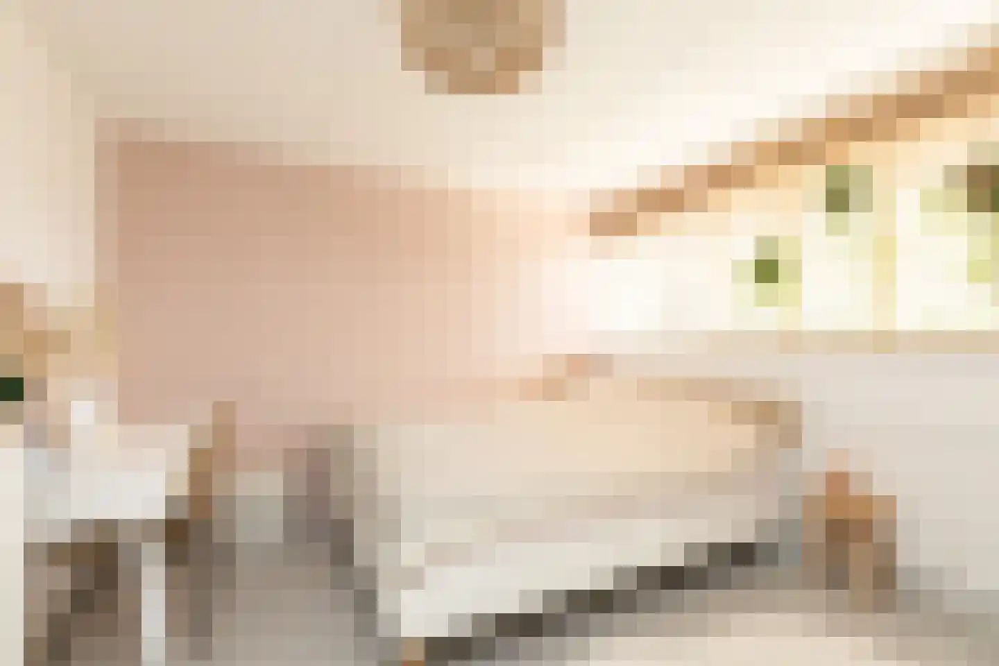 Schierstins 80 Sneek thumbnail 22