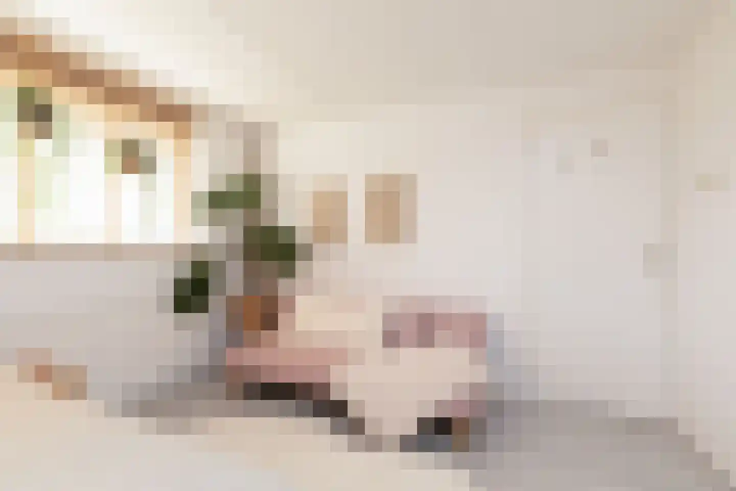 Schierstins 80 Sneek thumbnail 23