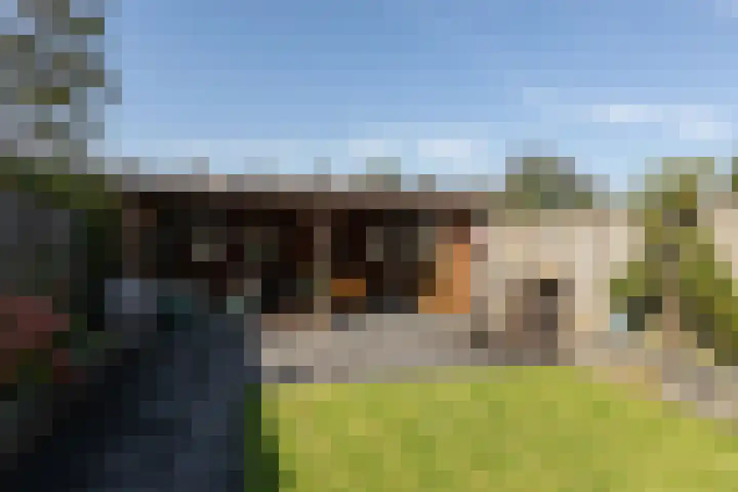 Schierstins 80 Sneek thumbnail 34
