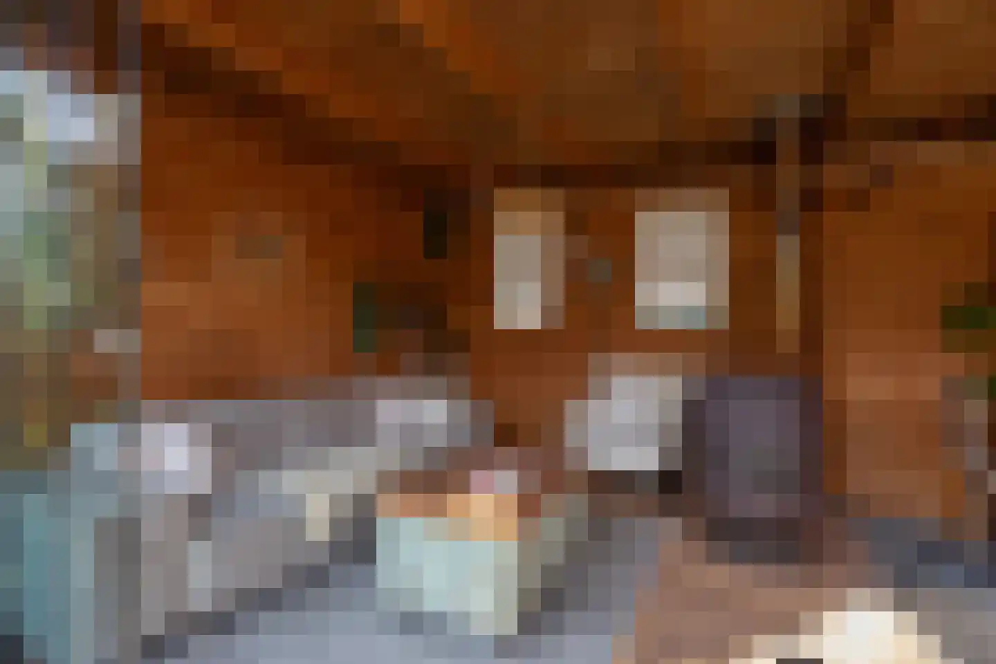 Schierstins 80 Sneek thumbnail 35