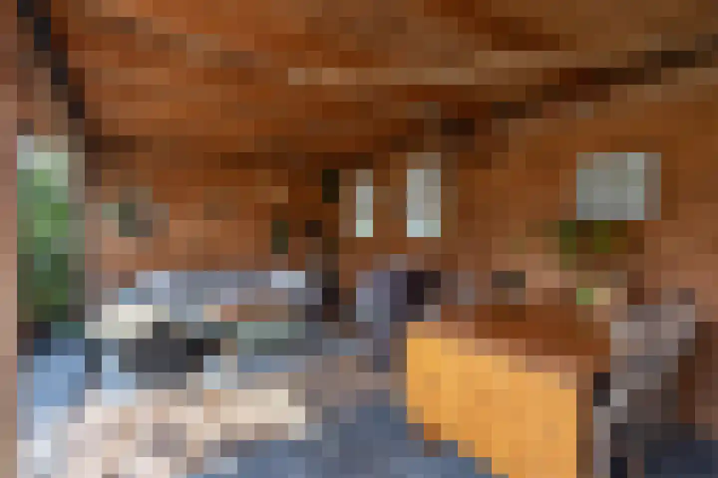 Schierstins 80 Sneek thumbnail 37