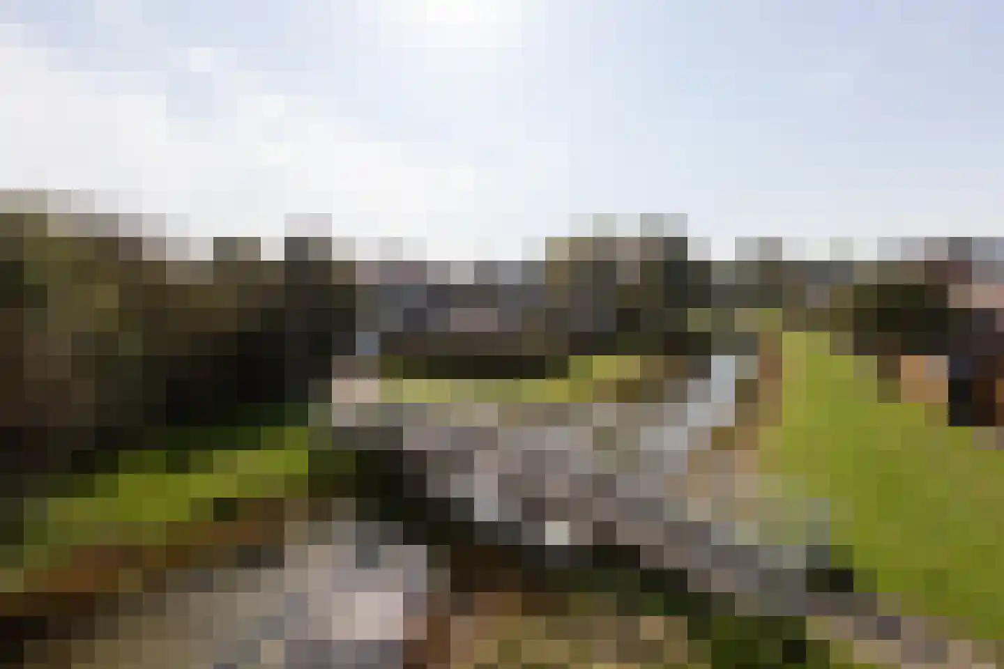 Schierstins 80 Sneek thumbnail 50