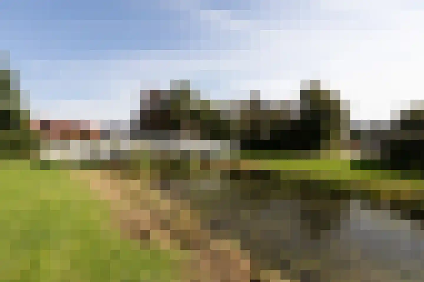 Schierstins 80 Sneek thumbnail 51