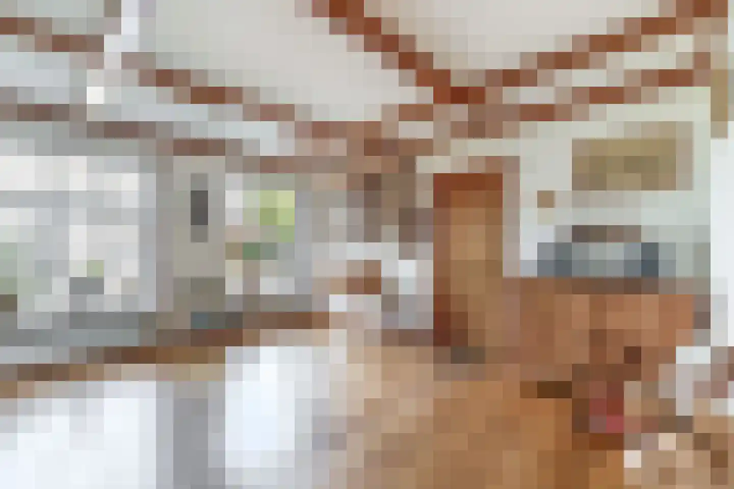 Schiestraat 1 Eindhoven thumbnail 16
