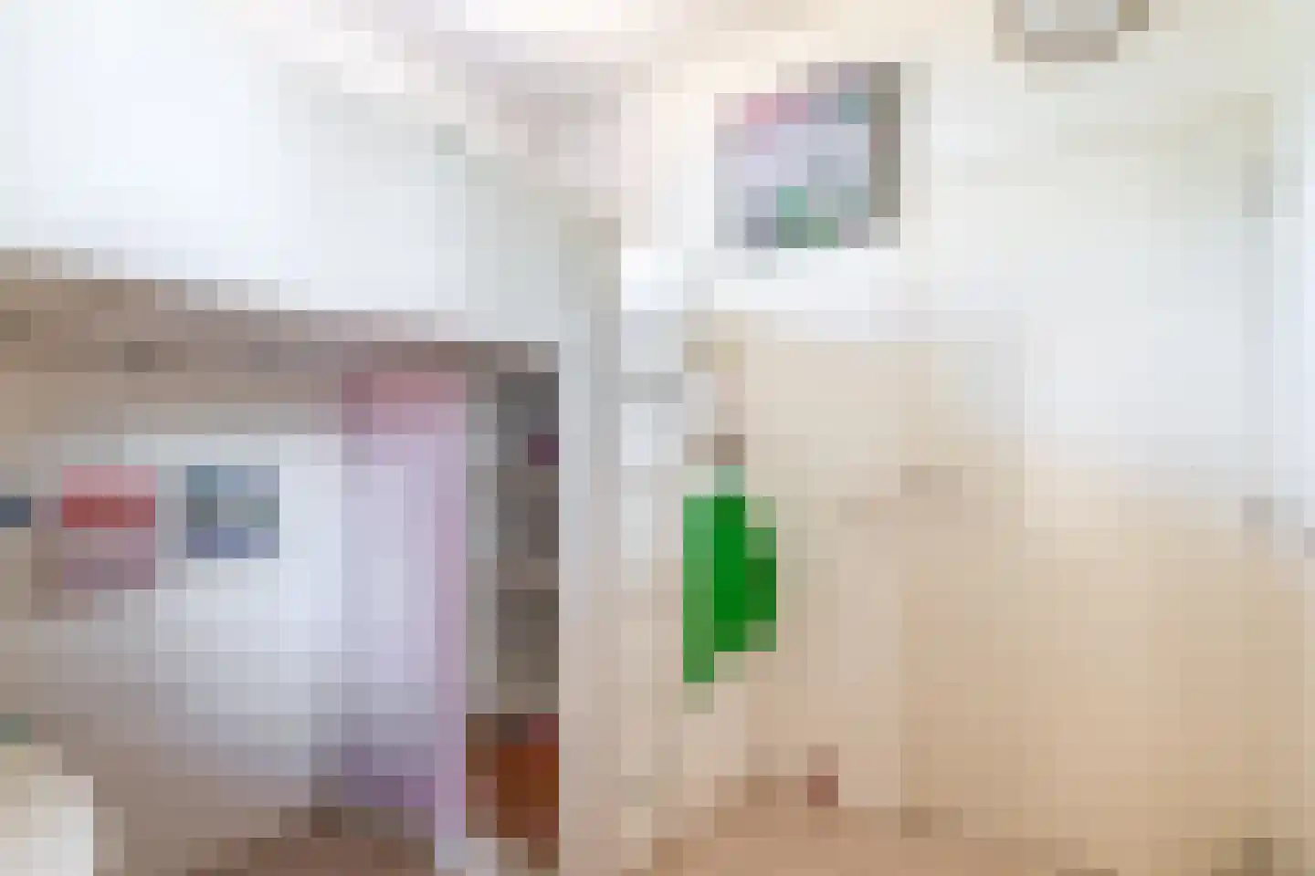 Schiestraat 1 Eindhoven thumbnail 68