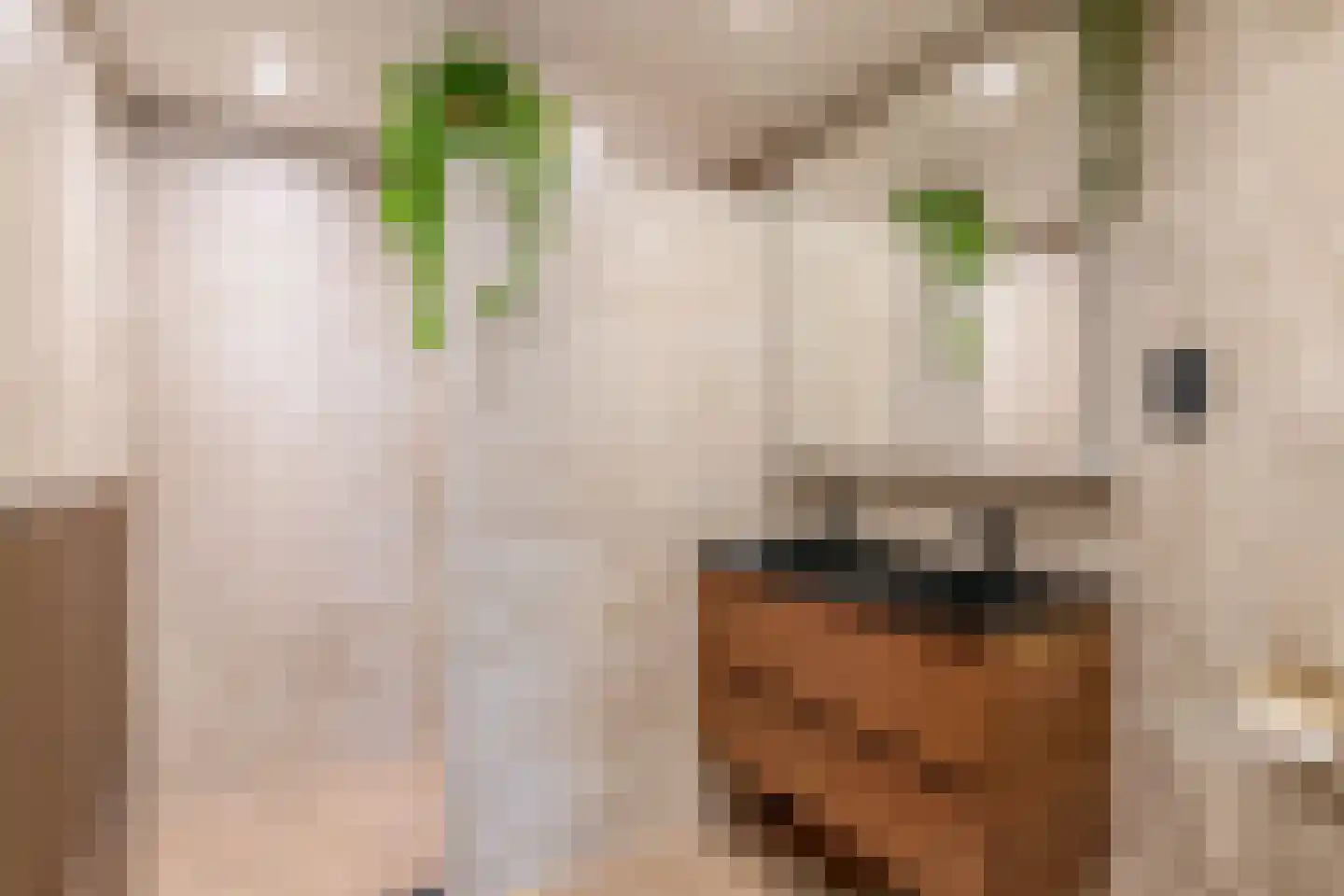 Schiestraat 1 Eindhoven thumbnail 69