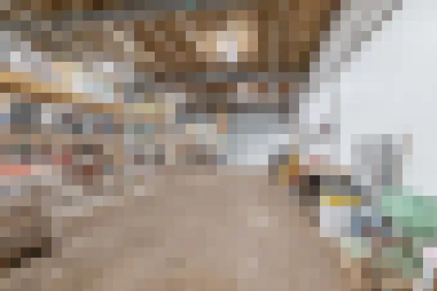 Schiestraat 1 Eindhoven thumbnail 75