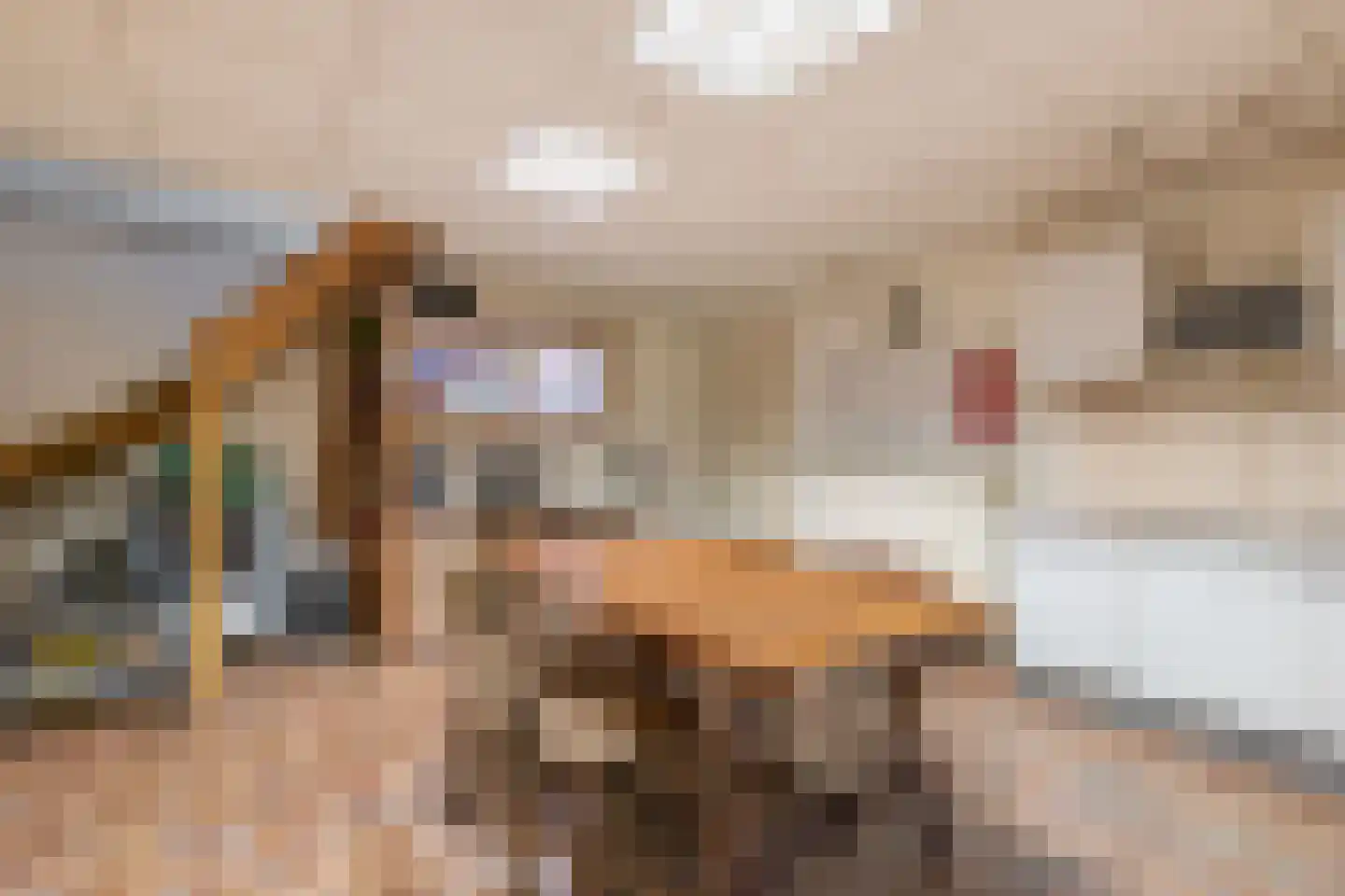 Schiestraat 1 Eindhoven thumbnail 85