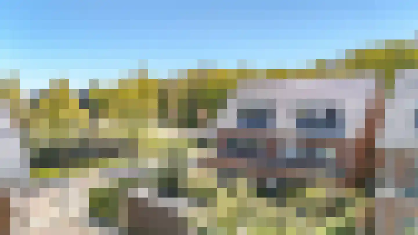 Schiestraat 120 Noordwijk thumbnail 5