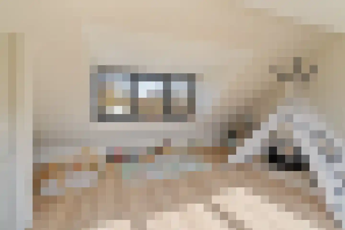 Schiestraat 20 Noordwijk thumbnail 32