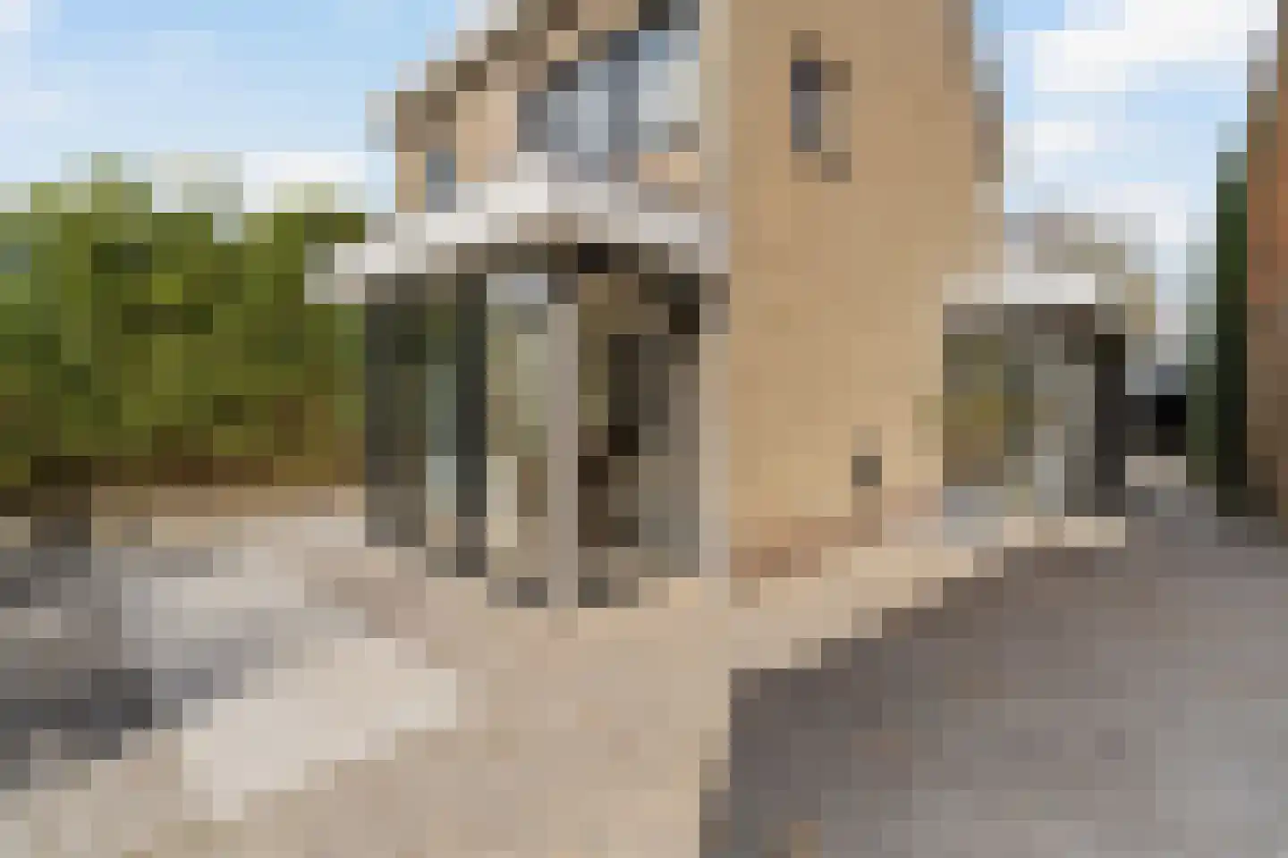 Schiestraat 20 Noordwijk thumbnail 5