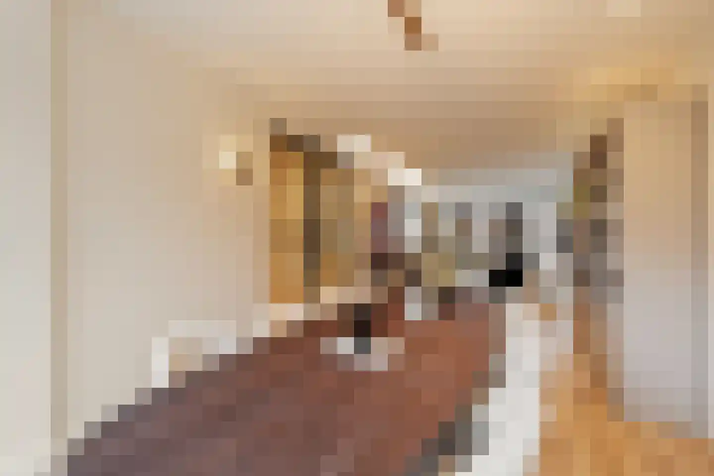 Schiestraat 20 Noordwijk thumbnail 9