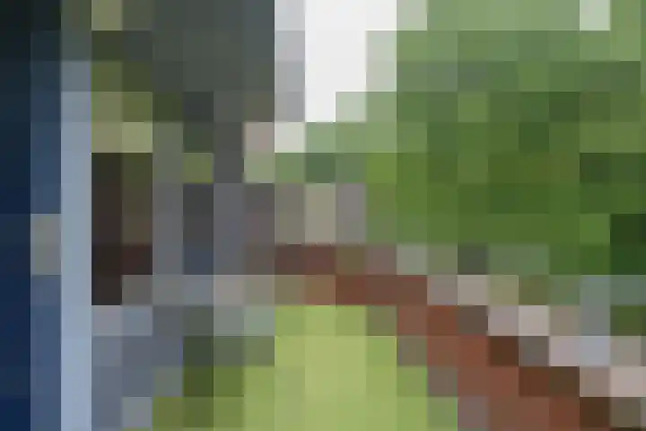 Schiestraat 24 Apeldoorn thumbnail 27
