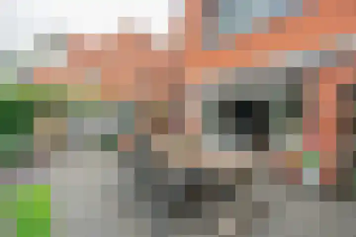 Schiestraat 24 Apeldoorn thumbnail 29