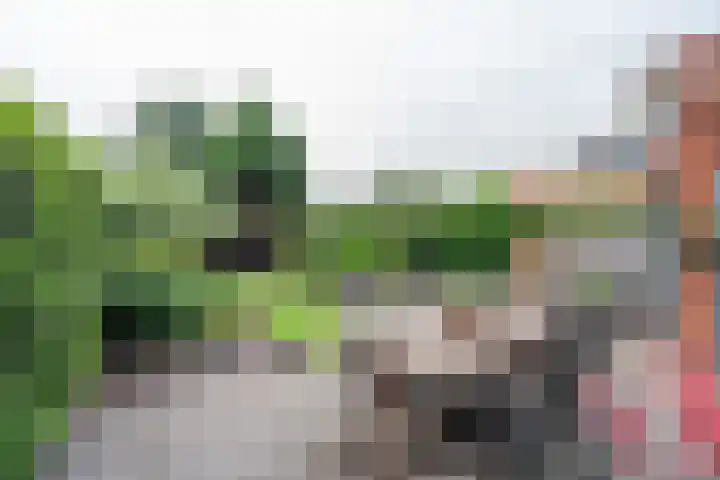 Schiestraat 24 Apeldoorn thumbnail 30