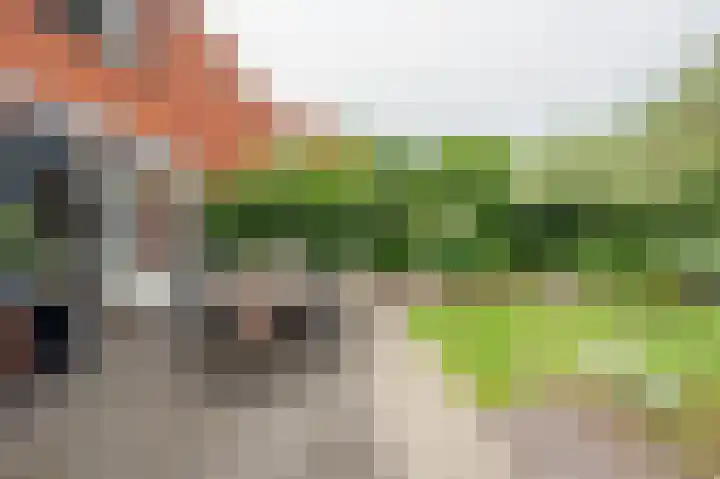 Schiestraat 24 Apeldoorn thumbnail 32