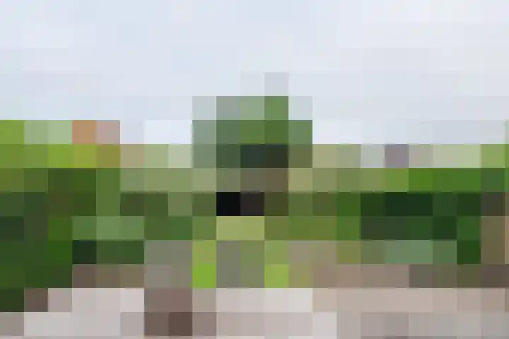Schiestraat 24 Apeldoorn thumbnail 33