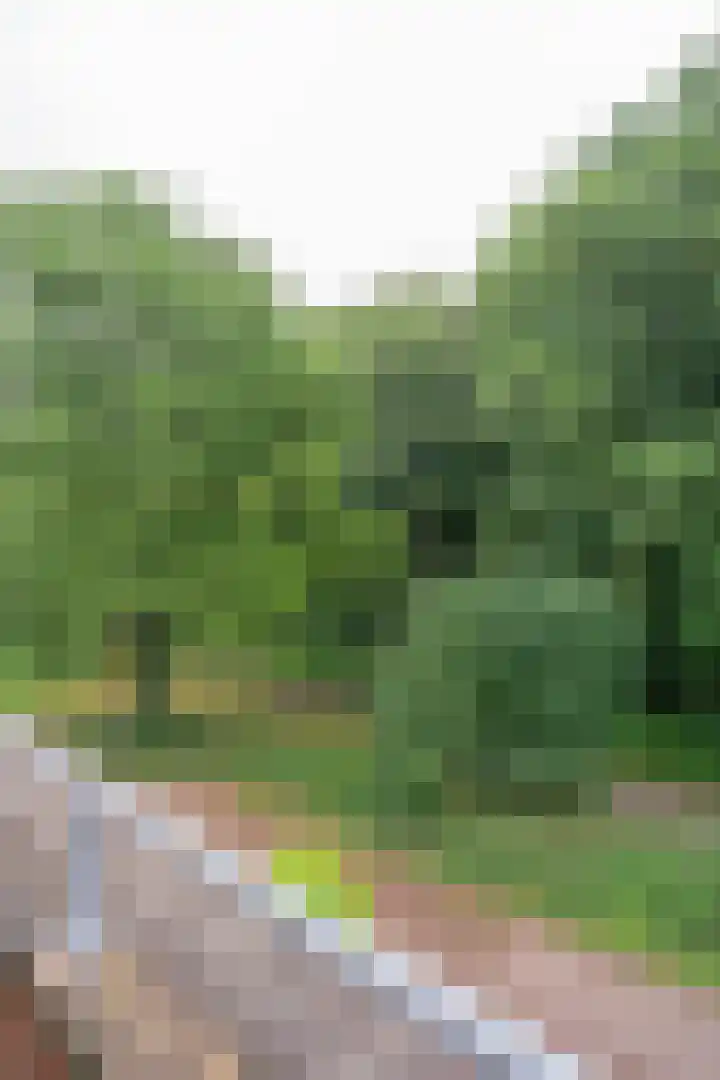 Schiestraat 24 Apeldoorn thumbnail 39
