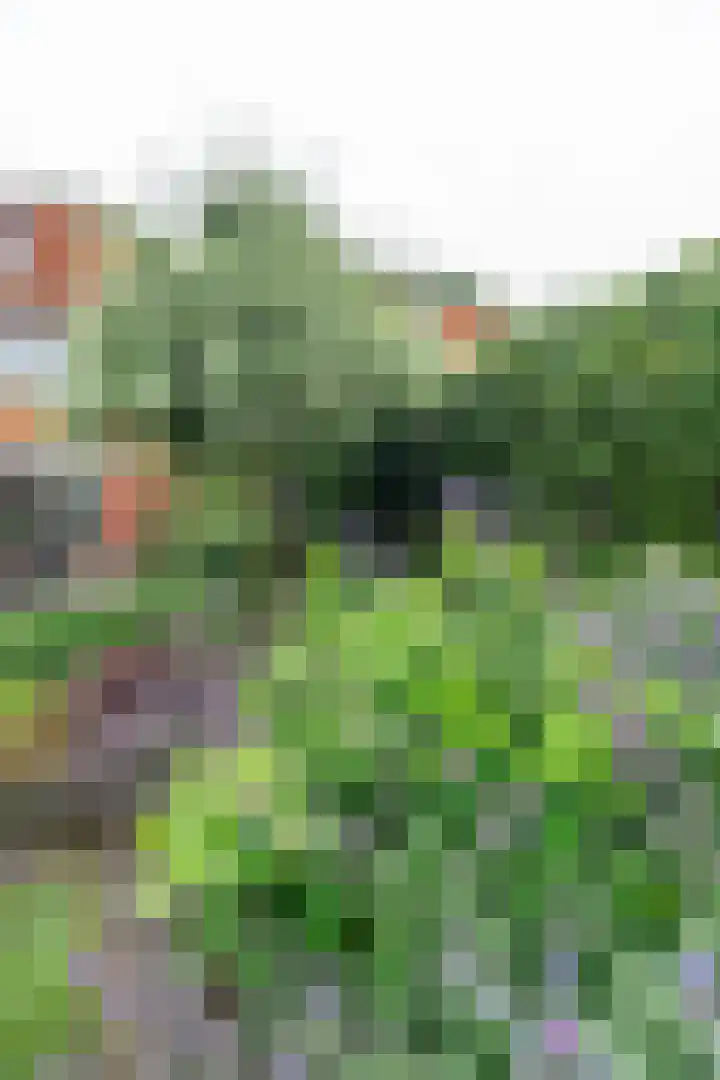 Schiestraat 24 Apeldoorn thumbnail 40