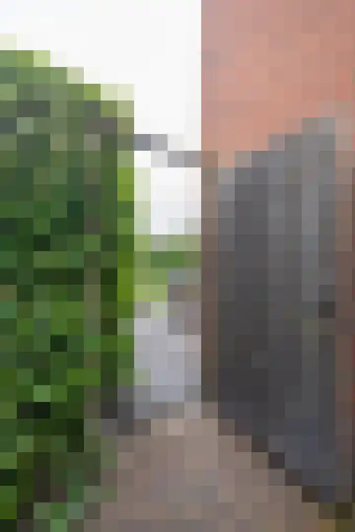 Schiestraat 24 Apeldoorn thumbnail 44
