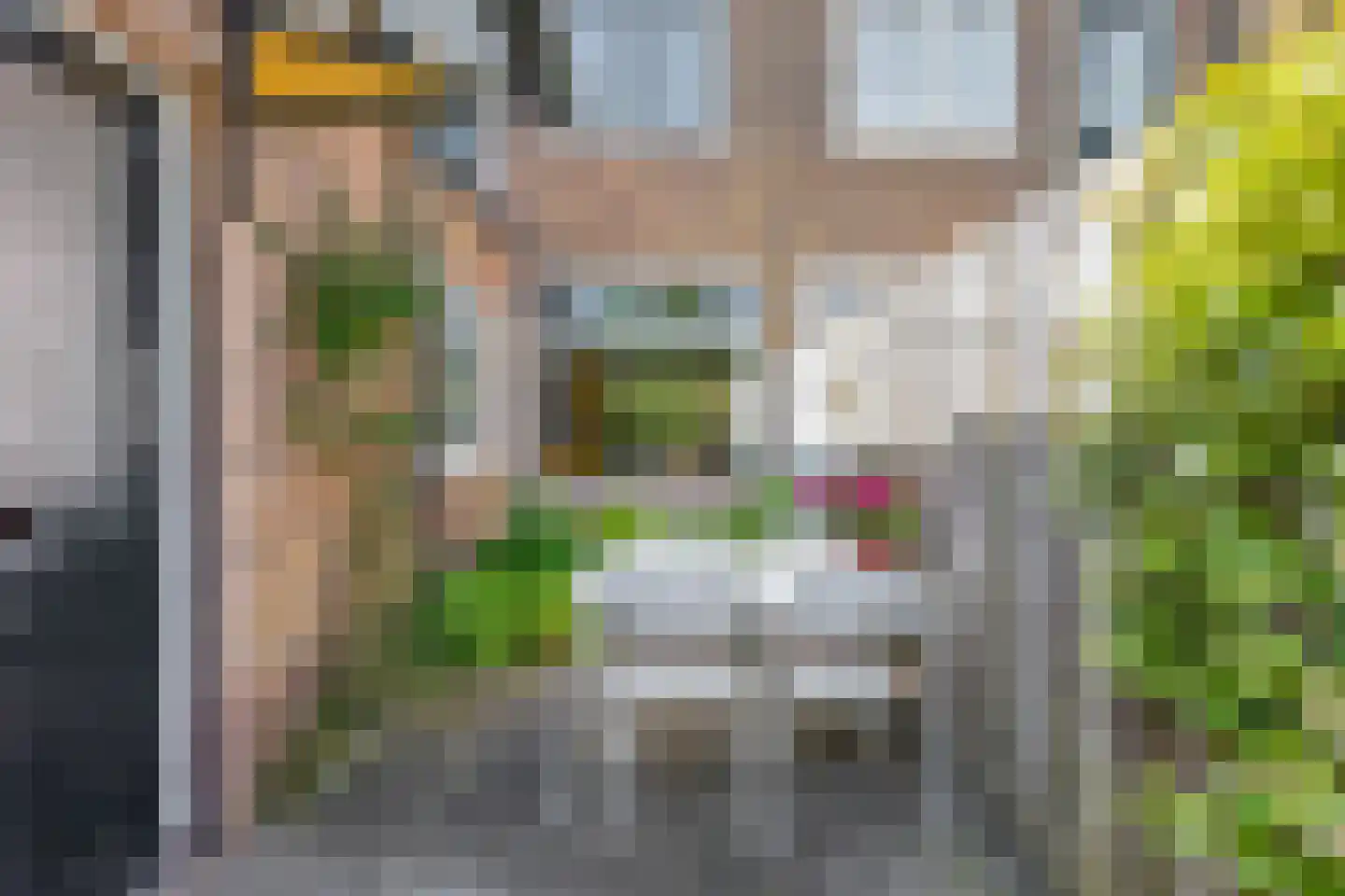 Schiestraat 3 Amersfoort thumbnail 22