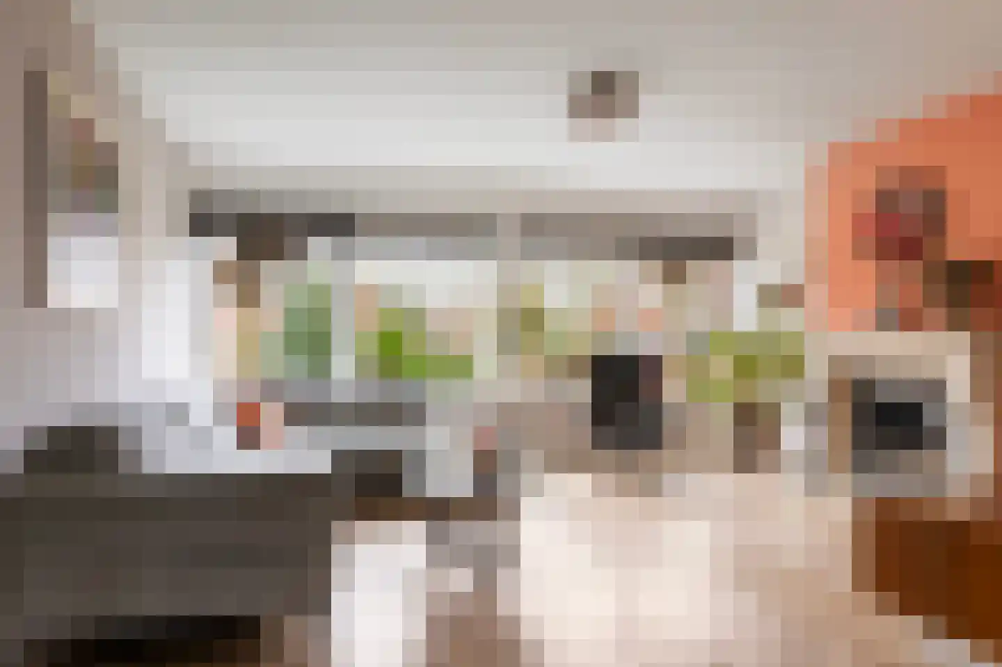 Schiestraat 40 Apeldoorn thumbnail 12