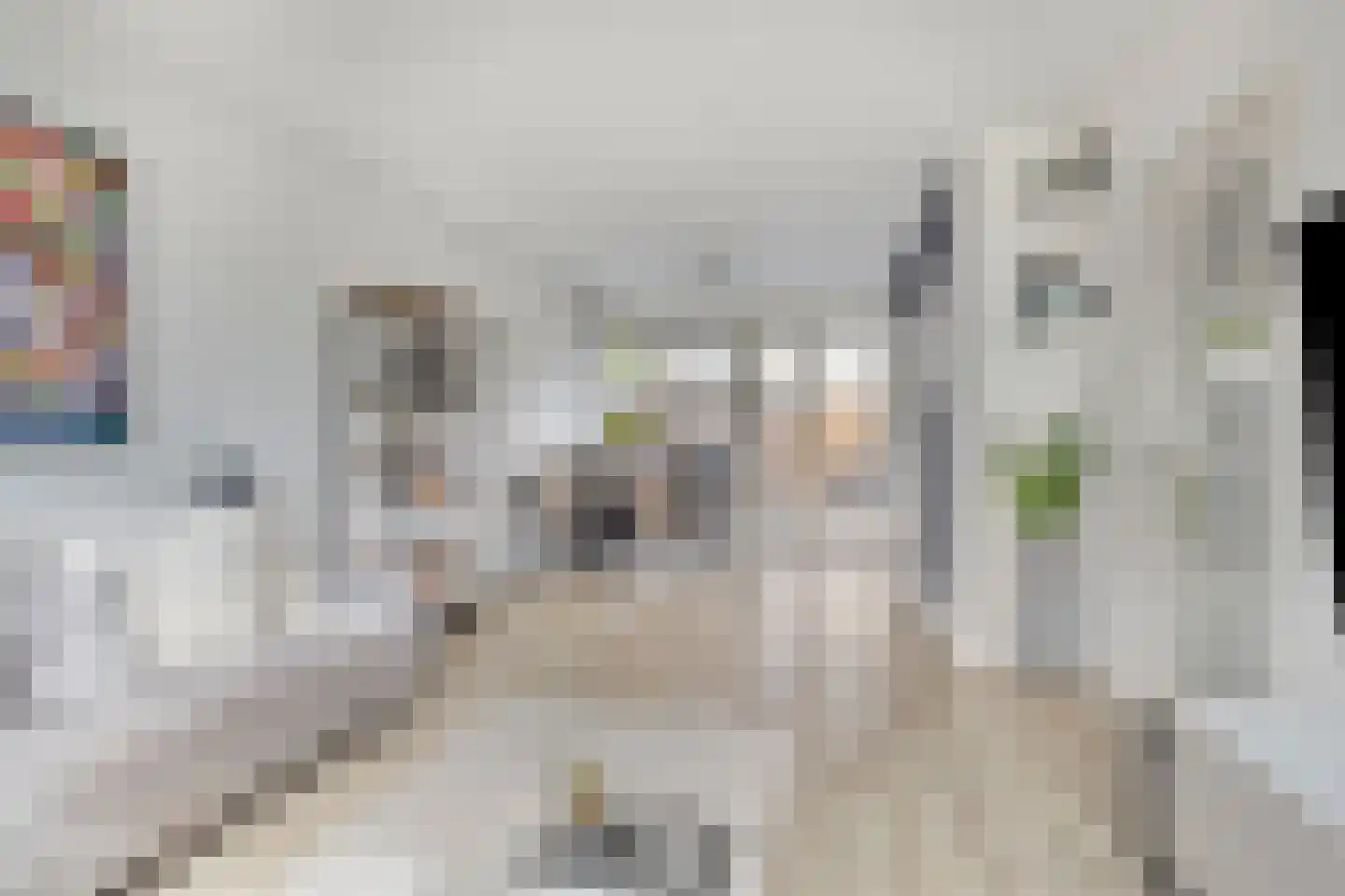 Schiestraat 6 Purmerend thumbnail 4