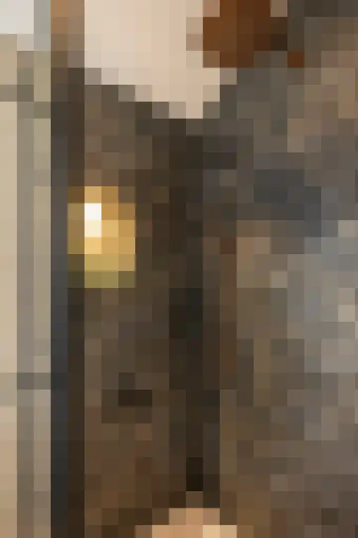 Schiestraat 90 Amersfoort thumbnail 47