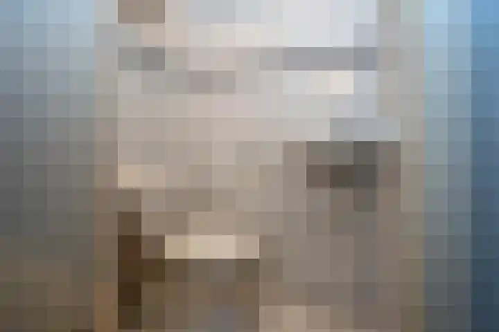 Schietbaan 22 Delden thumbnail 9