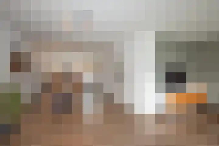 Schietbaan 7 Delden thumbnail 10