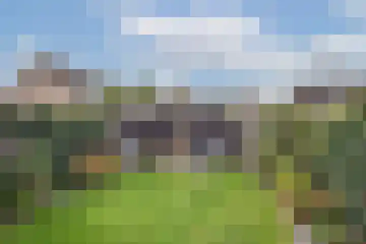 Schietbaan 7 Delden thumbnail 4