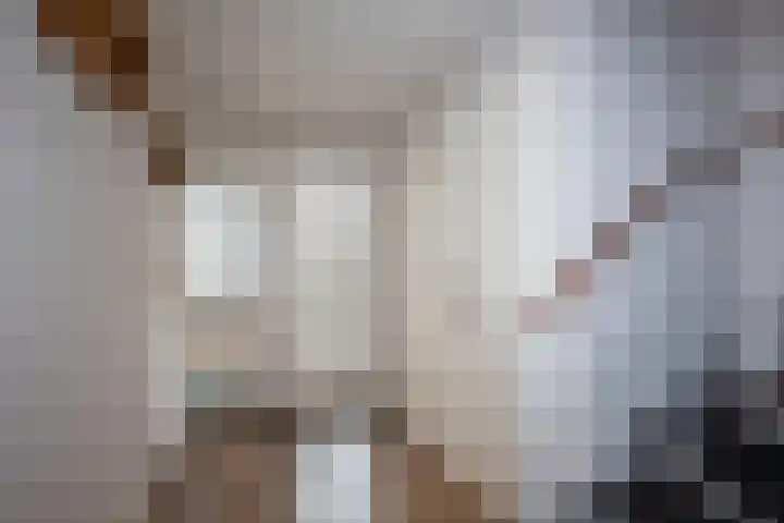 Schietbaan 7 Delden thumbnail 6
