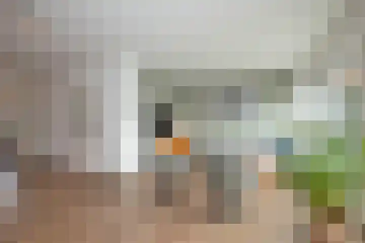 Schietbaan 7 Delden thumbnail 9