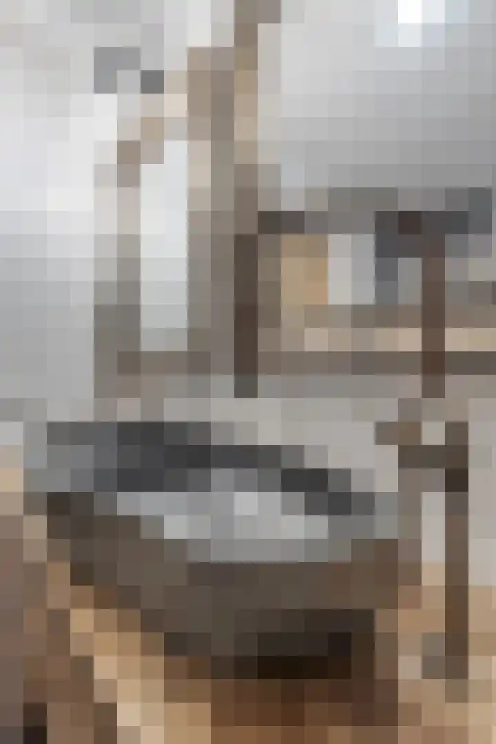 Schietbaan 7 Krimpen aan den IJssel thumbnail 16