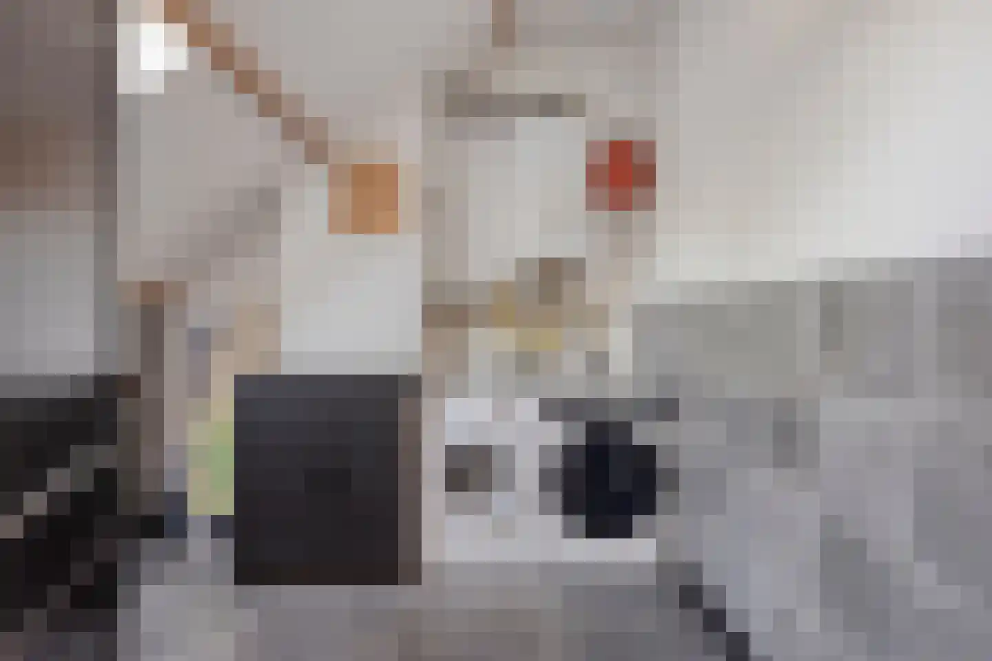 Schietbaan 7 Krimpen aan den IJssel thumbnail 23