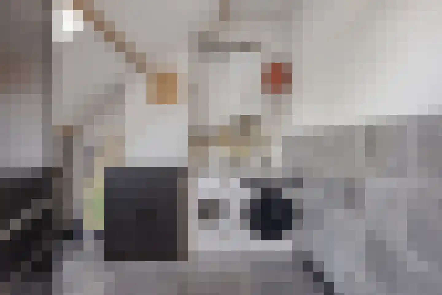 Schietbaan 7 Krimpen aan den IJssel thumbnail 27