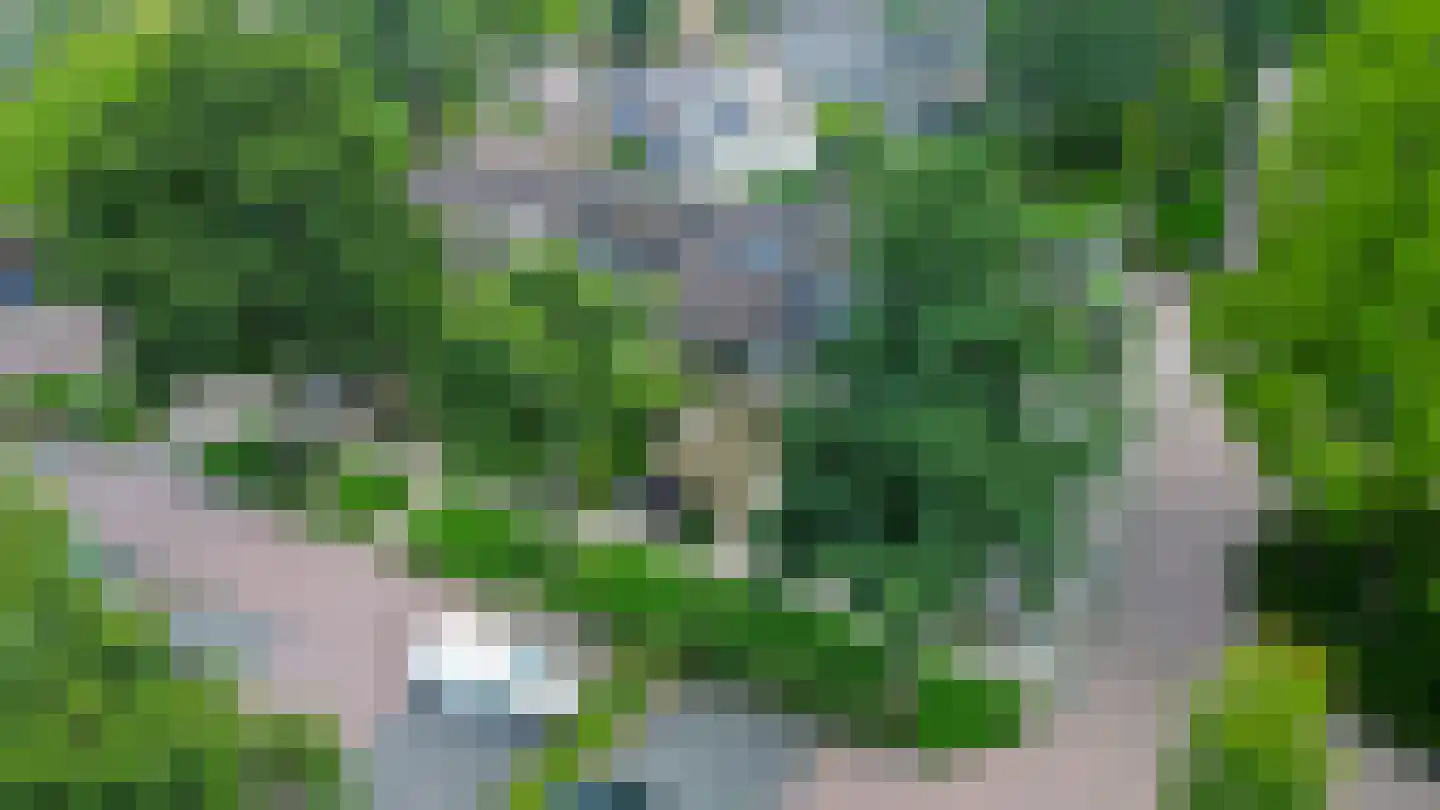 Schietbaan 7 Krimpen aan den IJssel thumbnail 27