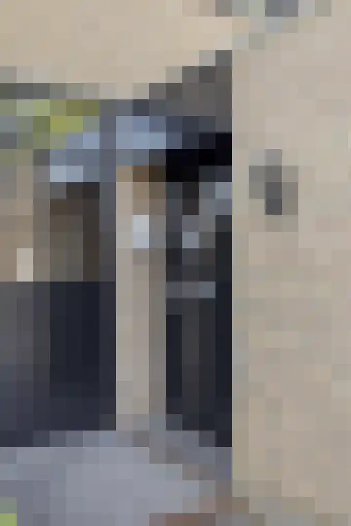 Schietbaan 7 Krimpen aan den IJssel thumbnail 32
