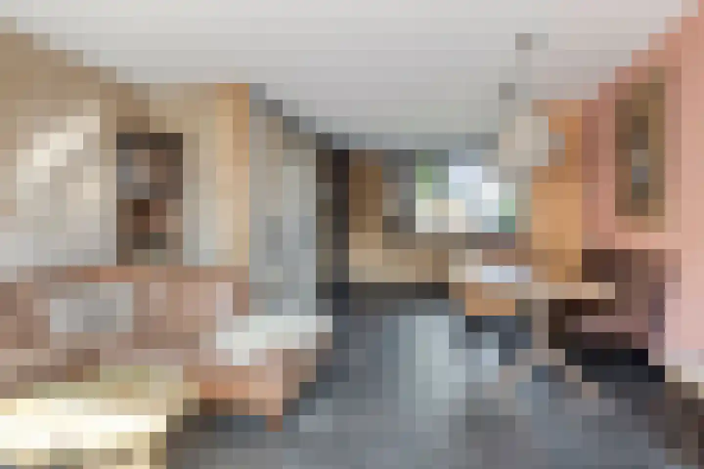 Schietbaan 7 Krimpen aan den IJssel thumbnail 6